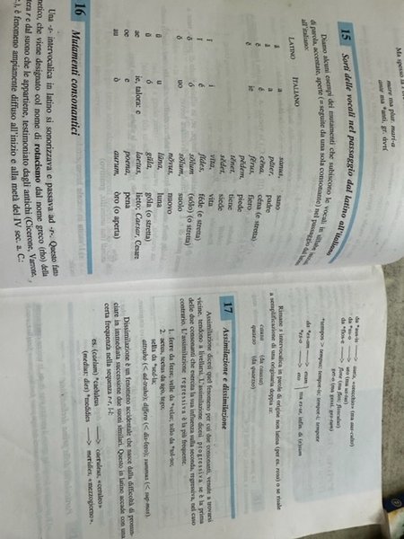 SERMO LATINUS - TEORIA