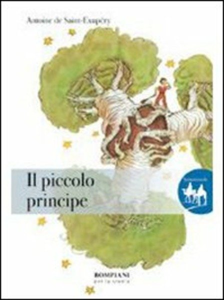 IL PICCOLO PRINCIPE