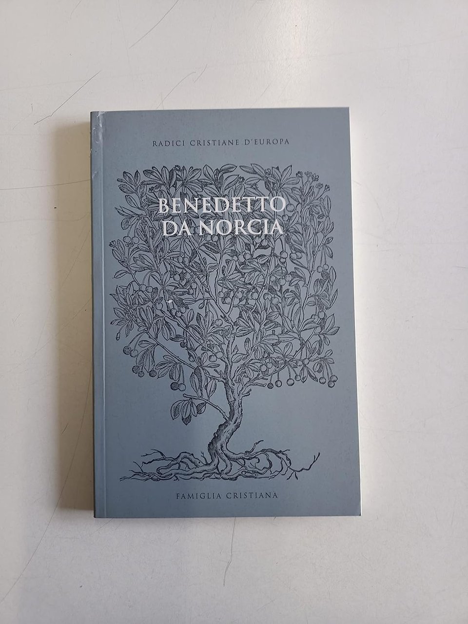 BENEDETTO DA NORCIA