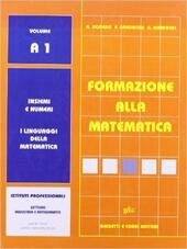 FORMAZIONE ALLA MATEMATICA - VOL. A1 X IPSIA