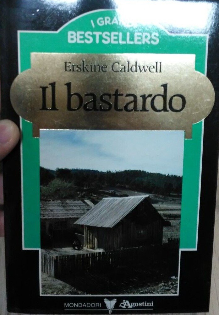IL BASTARDO
