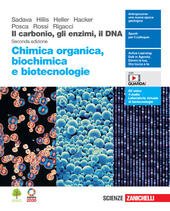 CARBONIO, GLI ENZIMI, IL DNA. CHIMICA ORGANICA, BIOCHIMICA E BIOTECNOLOGIE. …