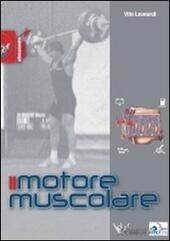 IL MOTORE MUSCOLARE