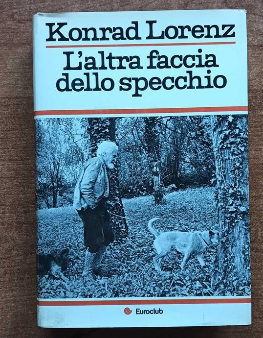L' ALTRA FACCIA DELLO SPECCHIO | Immagine principale