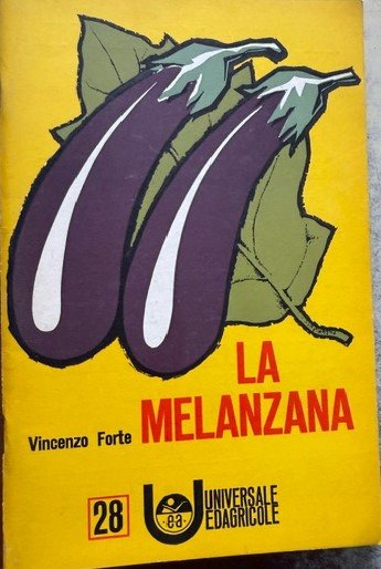 LA MELANZANA | Immagine principale