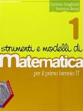 STRUMENTI E MODELLI DI MATEMATICA VOL.1 PER LA RIFORMA