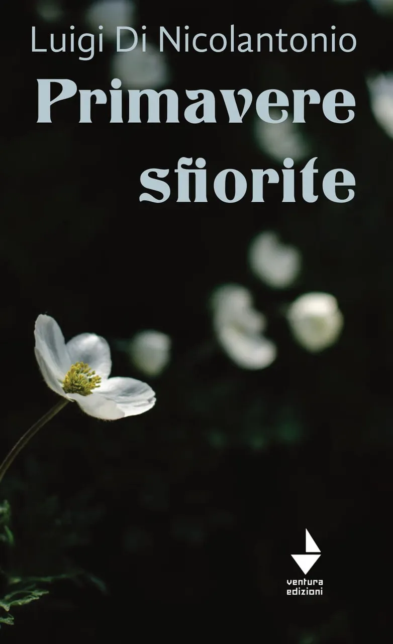 Primavere sfiorite | Immagine principale