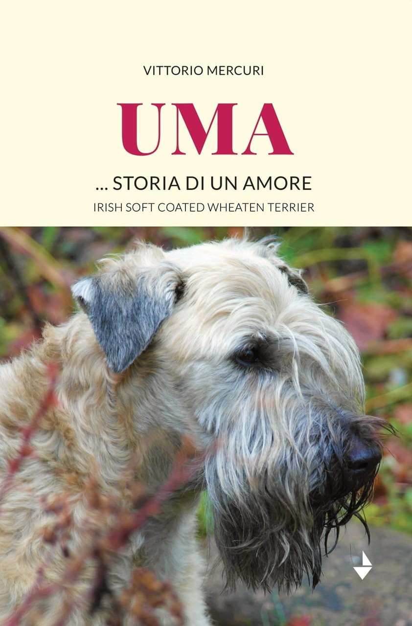 Uma. storia di un amore. Irish Soft Coated Wheaten Terrier