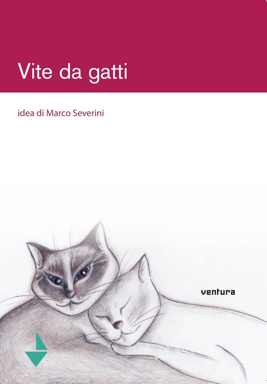 Vite da gatti