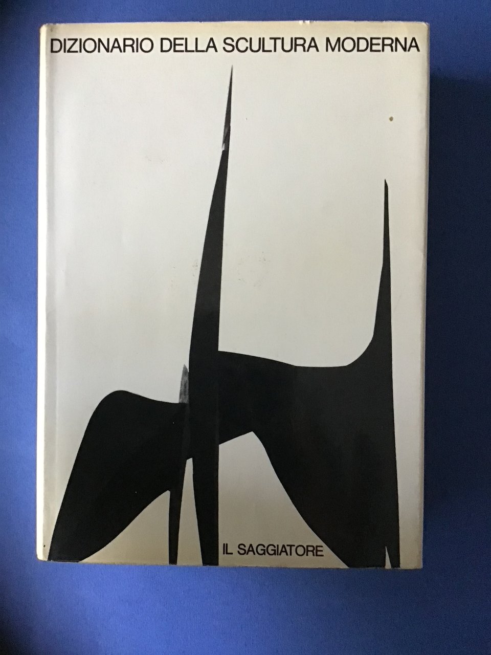 DIZIONARIO DELLA SCULTURA MODERNA