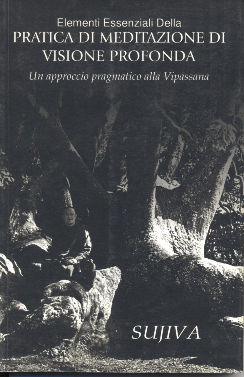 elementi essenziali della pratica di meditazione di visione profonda