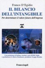 Il Bilancio Dell`Intangibile