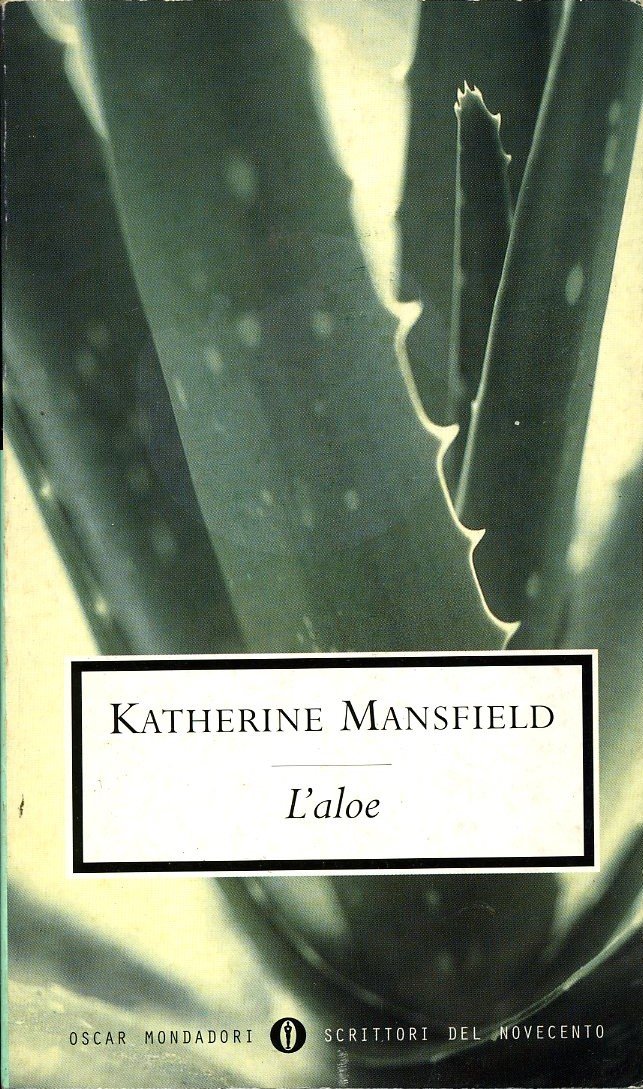 L`aloe | Immagine principale