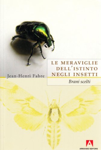 Le meraviglie dell`istinto negli insetti