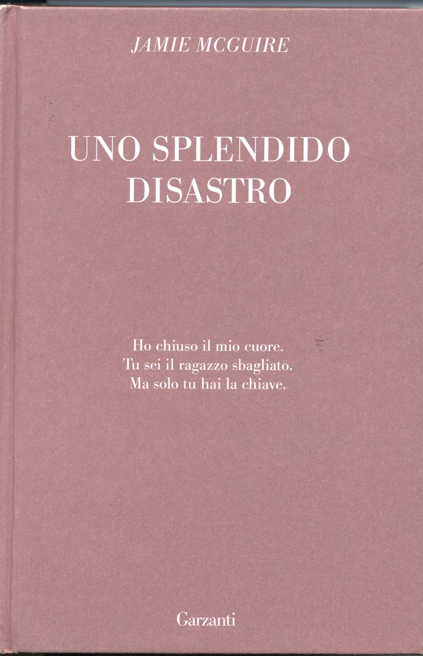 Uno splendido disastro (Super Elefanti bestseller)