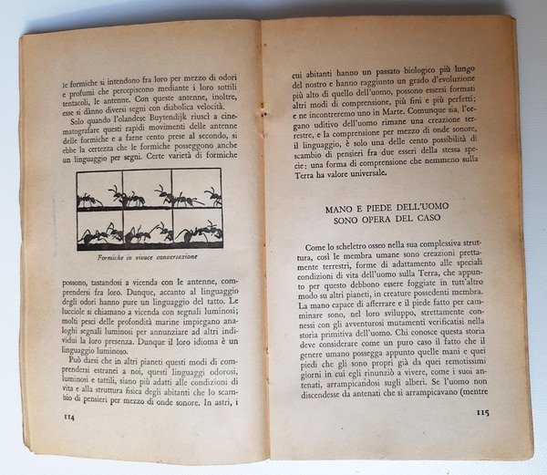 Chi vive sulle stelle? di Desiderius Papp. VII edizione