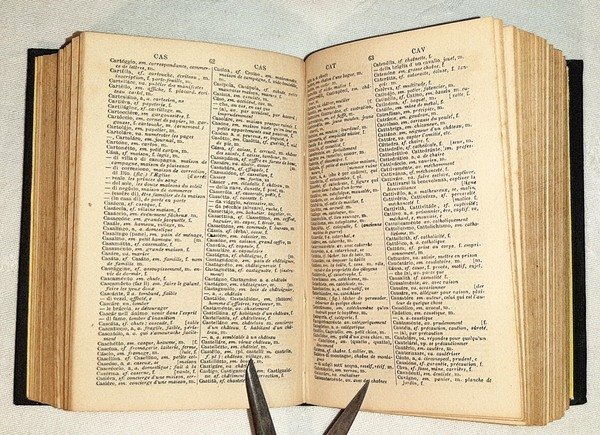 Dictionnaire Francais-Italien contenant les mots admis par l'Academie Francaise et …