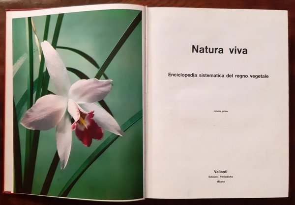 Natura viva. Enciclopedia sistematica del regno vegetale.