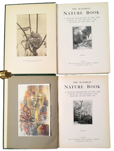 The waverley nature book - A popular description by pen …