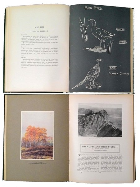 The waverley nature book - A popular description by pen …