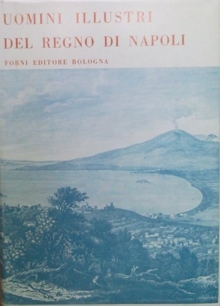 Raccolta delle vite, e famiglie degli uomini illustri del Regno …