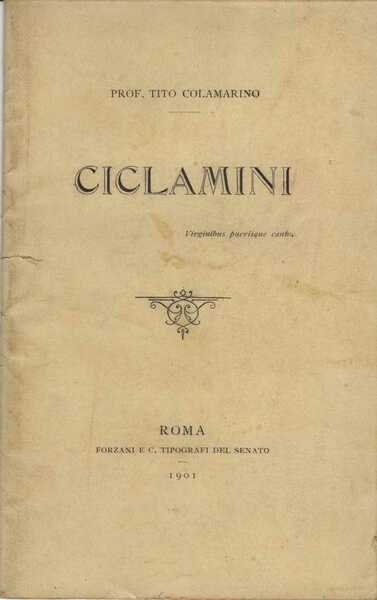 Ciclamini.