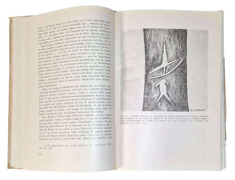 Etnologia religiosa. Introduzione generale. Le scuole evoluzioniste e le scuole … | Immagine Gallery 5