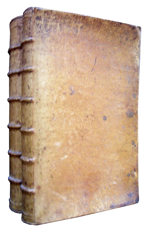 Florilegii Magni, seu Polyantheae floribus nouissimis sparsae, libri XX. opus … | Immagine Gallery 2