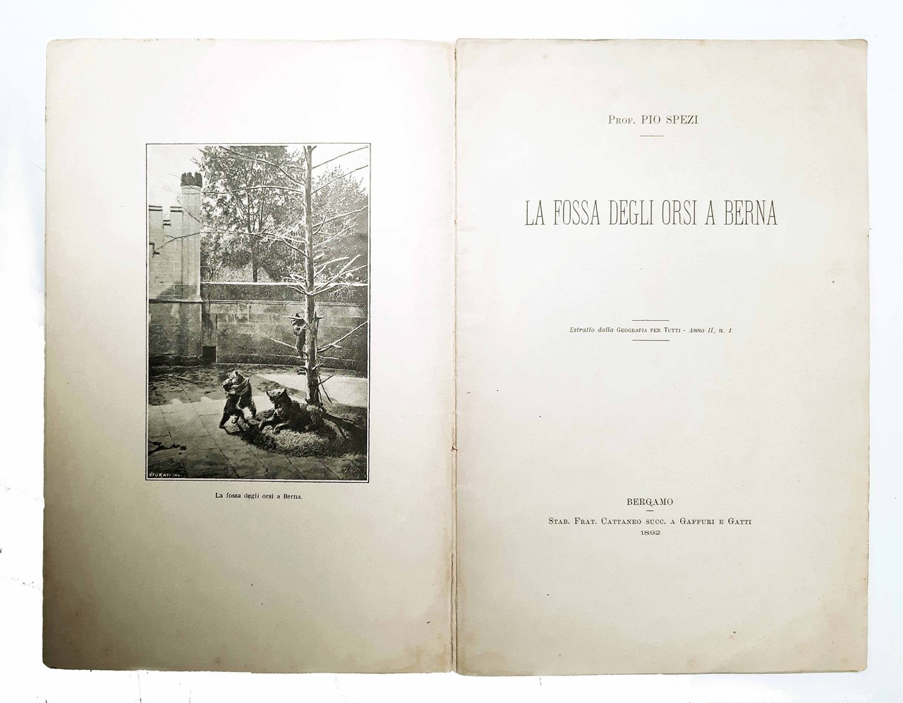 La fossa degli orsi a Berna - Estratto dalla Geografia …