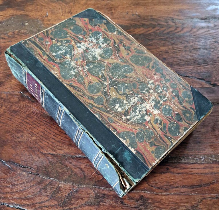 The personal history of David Copperfield, with illustrations by H.K. … | Immagine Gallery 2