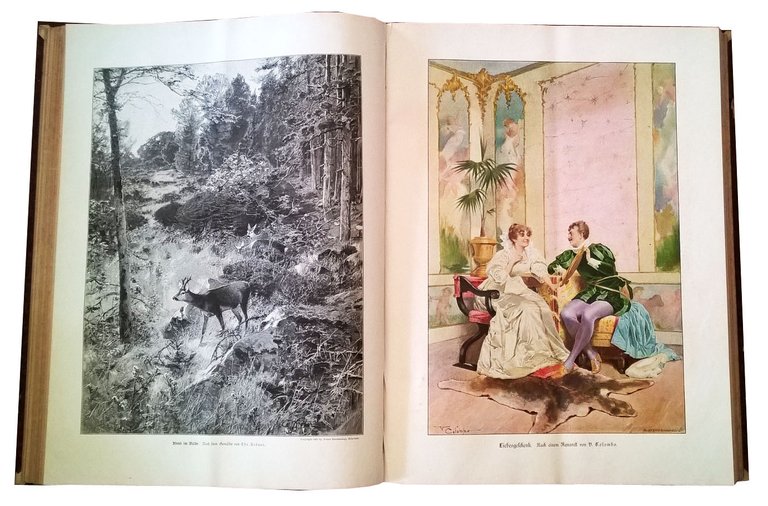 Ueber land und meer. Deutsche Illustrierte Zeitung. Band 75-76. | Immagine Gallery 4