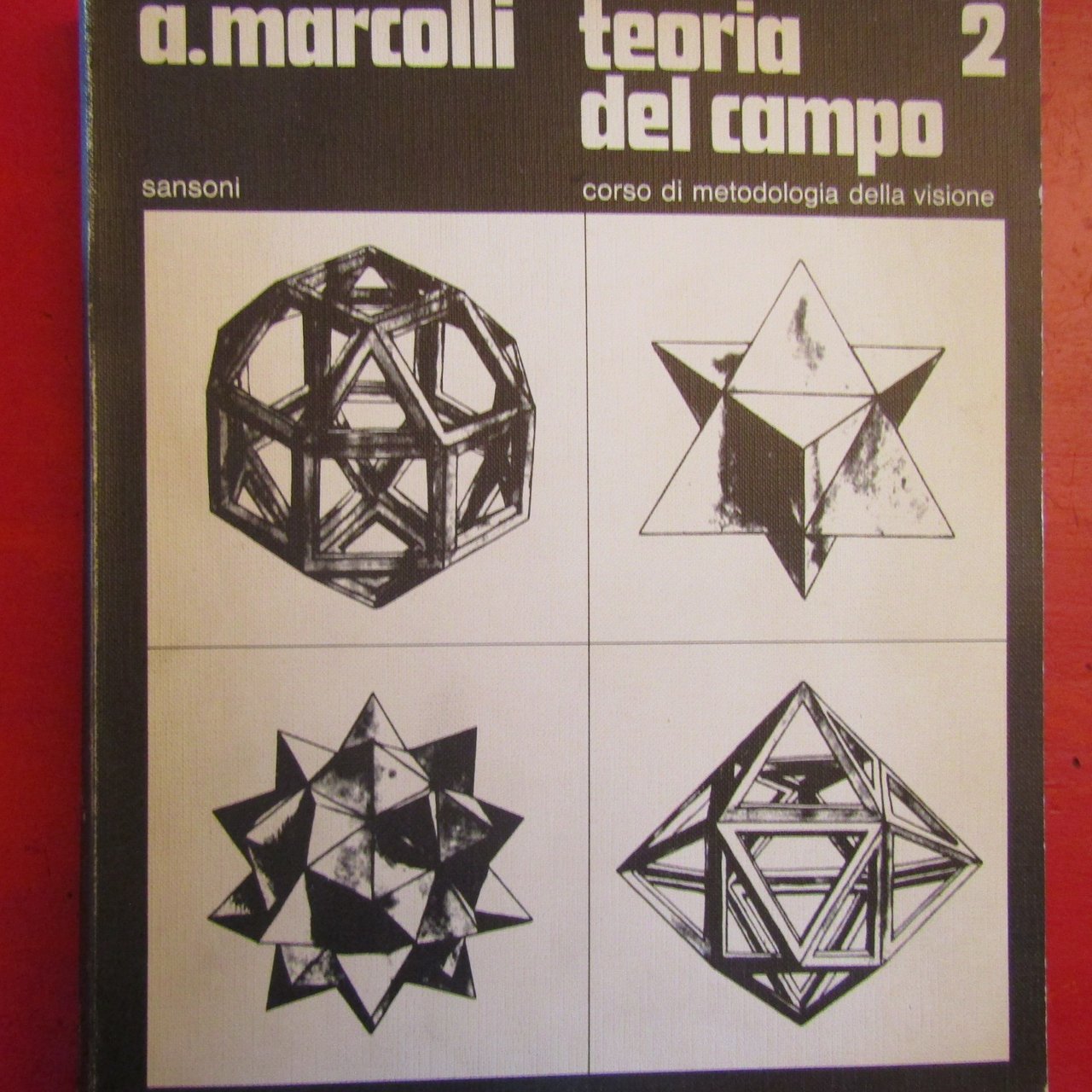 Teoria del campo 2