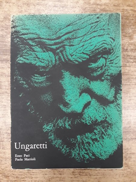 LETTERE A UN FENOMENOLOGO.
