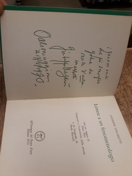 LETTERE A UN FENOMENOLOGO.