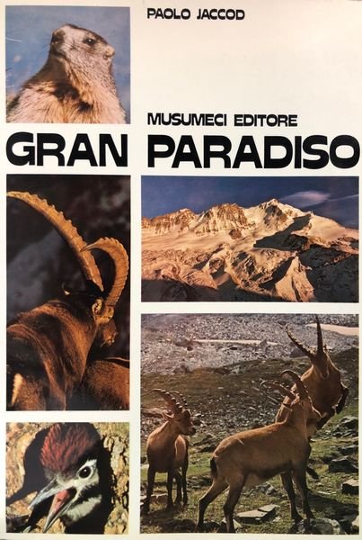 GRAN PARADISO.