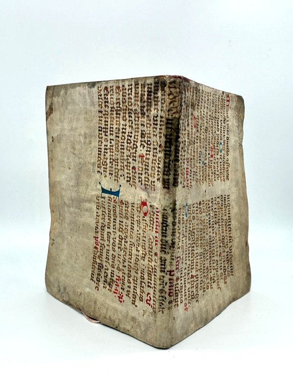 De Arthritide Tractatus cui accessit Tragopodagra Luciani. | Immagine Gallery 3