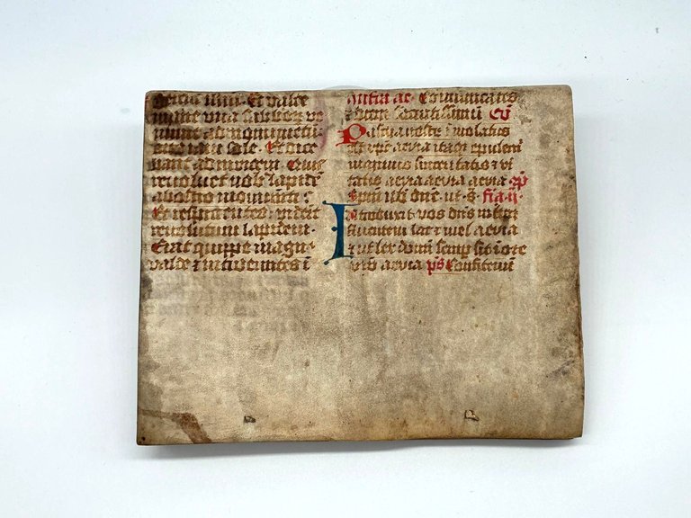 De Arthritide Tractatus cui accessit Tragopodagra Luciani. | Immagine Gallery 7