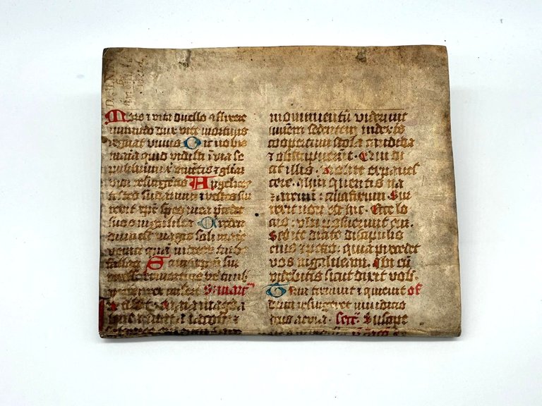 De Arthritide Tractatus cui accessit Tragopodagra Luciani. | Immagine Gallery 8