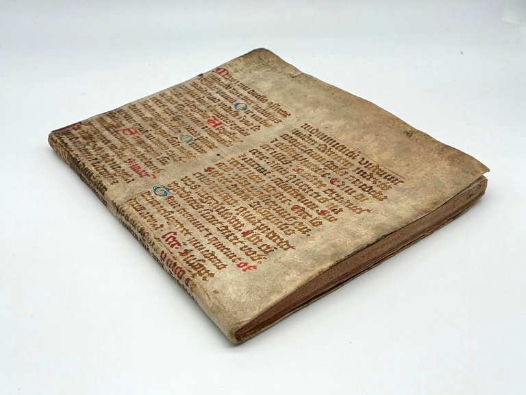 De Arthritide Tractatus cui accessit Tragopodagra Luciani. | Immagine Gallery 9