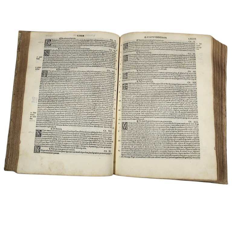 NATURALIS HISTORIÆ LIBRI XXXVII E CASTIGATIONIBUS HERMOLAI BARBARI