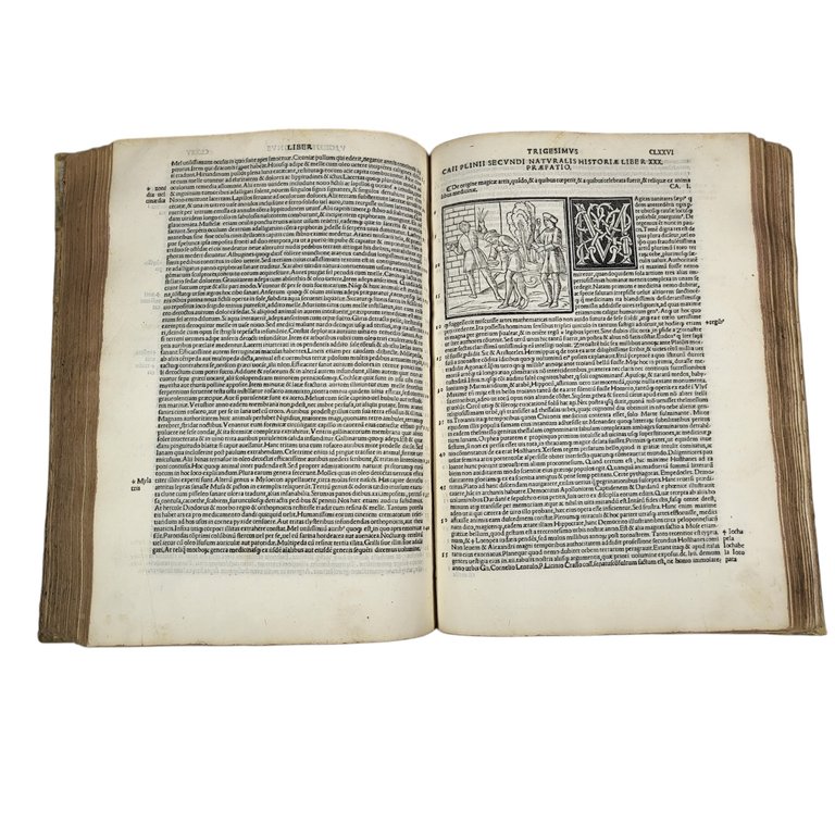 NATURALIS HISTORIÆ LIBRI XXXVII E CASTIGATIONIBUS HERMOLAI BARBARI