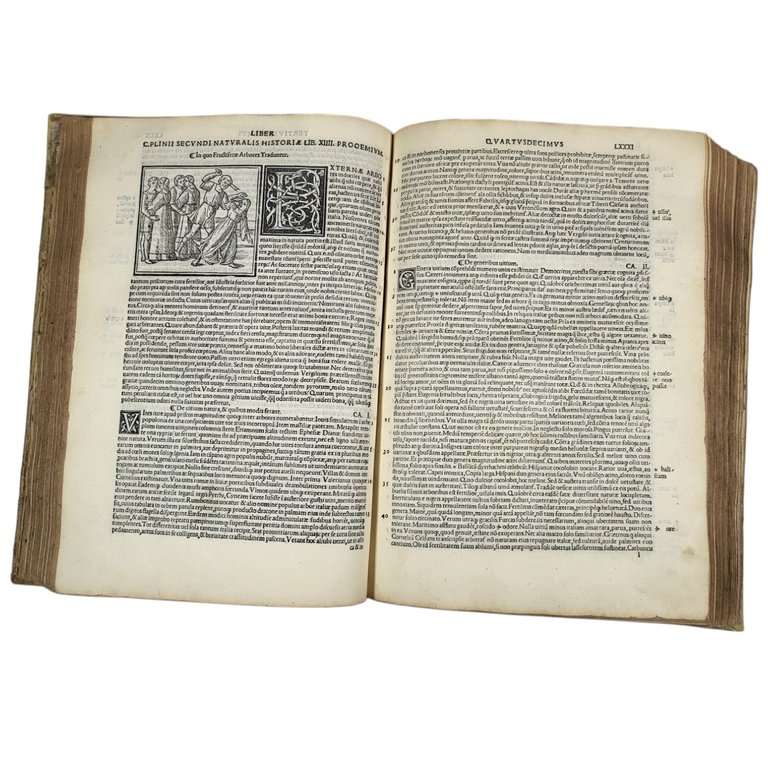 NATURALIS HISTORIÆ LIBRI XXXVII E CASTIGATIONIBUS HERMOLAI BARBARI