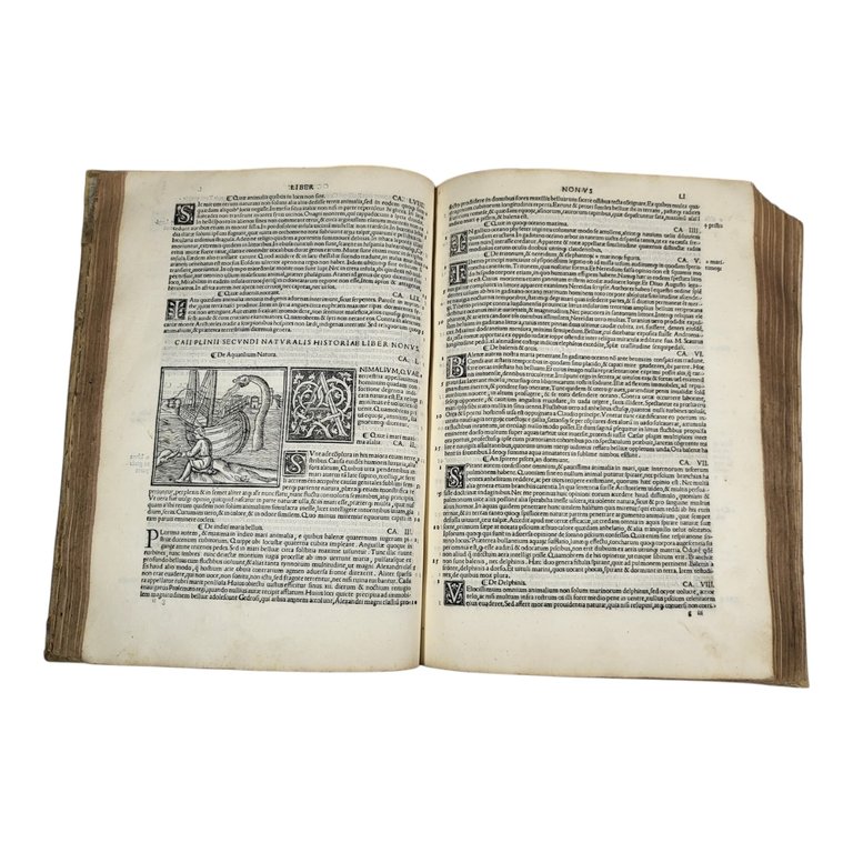 NATURALIS HISTORIÆ LIBRI XXXVII E CASTIGATIONIBUS HERMOLAI BARBARI