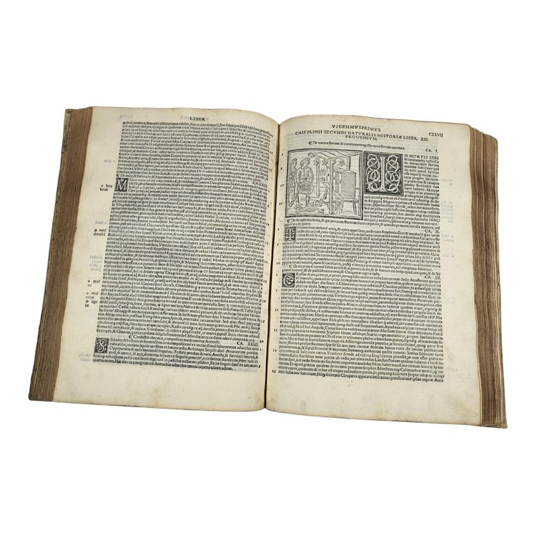 NATURALIS HISTORIÆ LIBRI XXXVII E CASTIGATIONIBUS HERMOLAI BARBARI