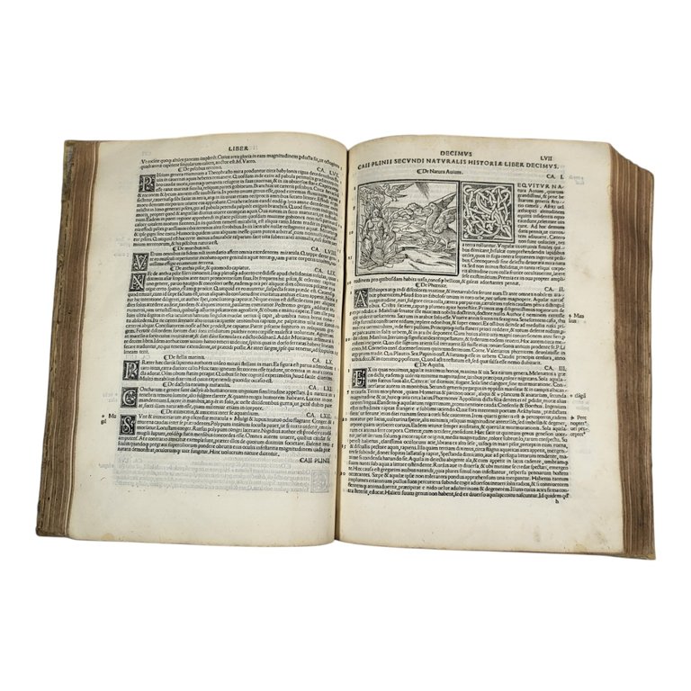 NATURALIS HISTORIÆ LIBRI XXXVII E CASTIGATIONIBUS HERMOLAI BARBARI