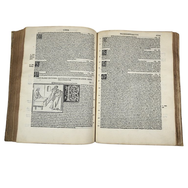 NATURALIS HISTORIÆ LIBRI XXXVII E CASTIGATIONIBUS HERMOLAI BARBARI