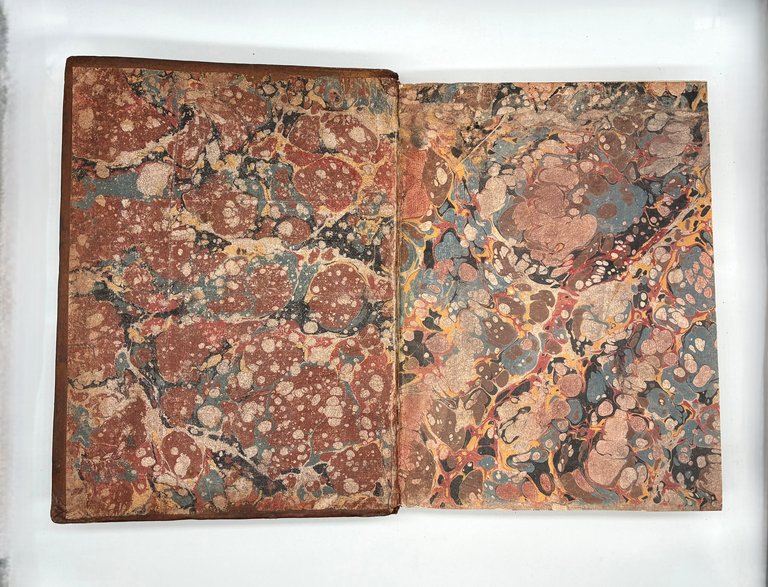 ORLANDO FURIOSO | Immagine Gallery 16