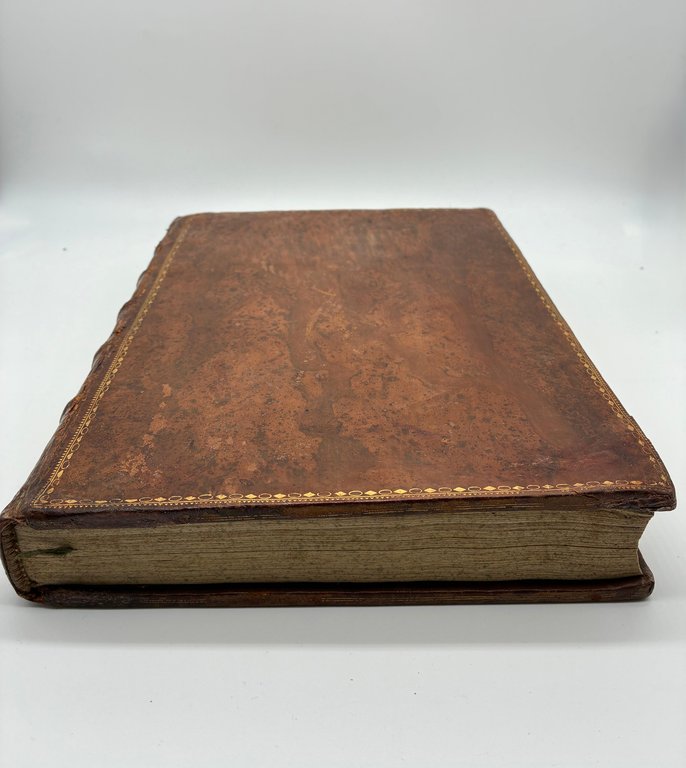 ORLANDO FURIOSO | Immagine Gallery 12