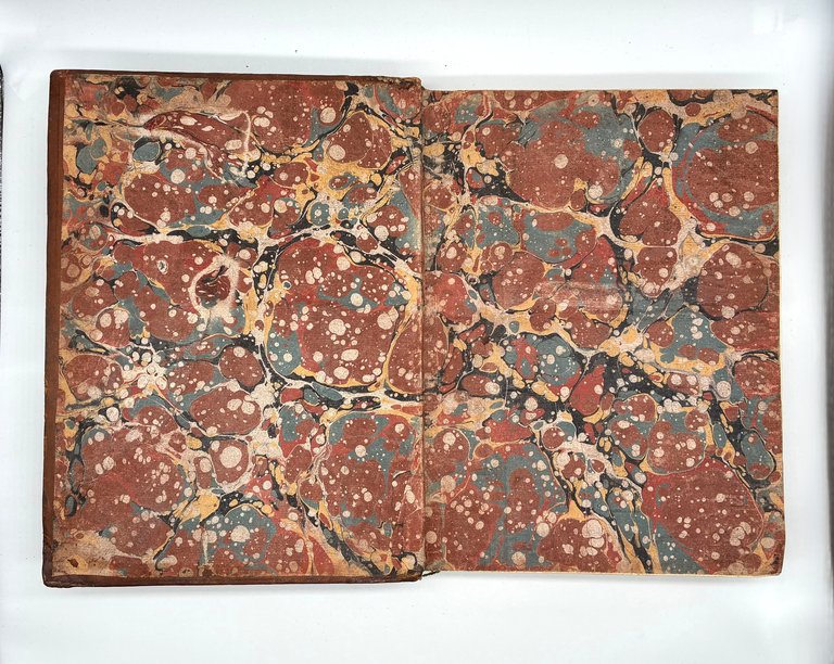 ORLANDO FURIOSO | Immagine Gallery 11