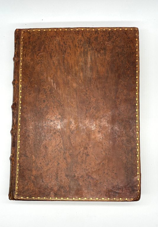 ORLANDO FURIOSO | Immagine Gallery 18